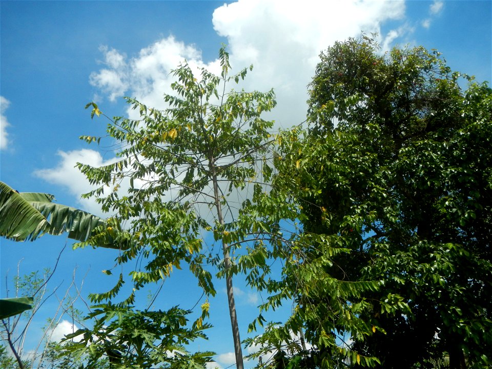 Plaridel during enhanced community quarantine in the Philippines