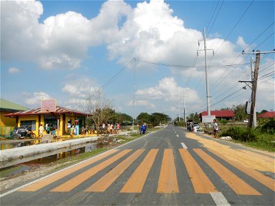 Cananga odorata ylang-ylang is Tagalog word ilang, meaning "wilderness", Capital of the Philippines, Anao, Tarlac, Cananga odorata decorating this Moncada-Anao, Tarlac Road (a world record so to speak