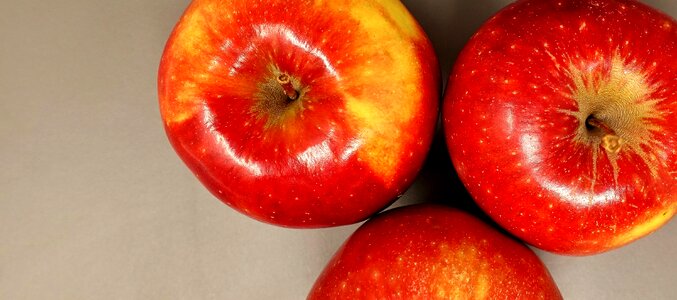 Food healthy fresh