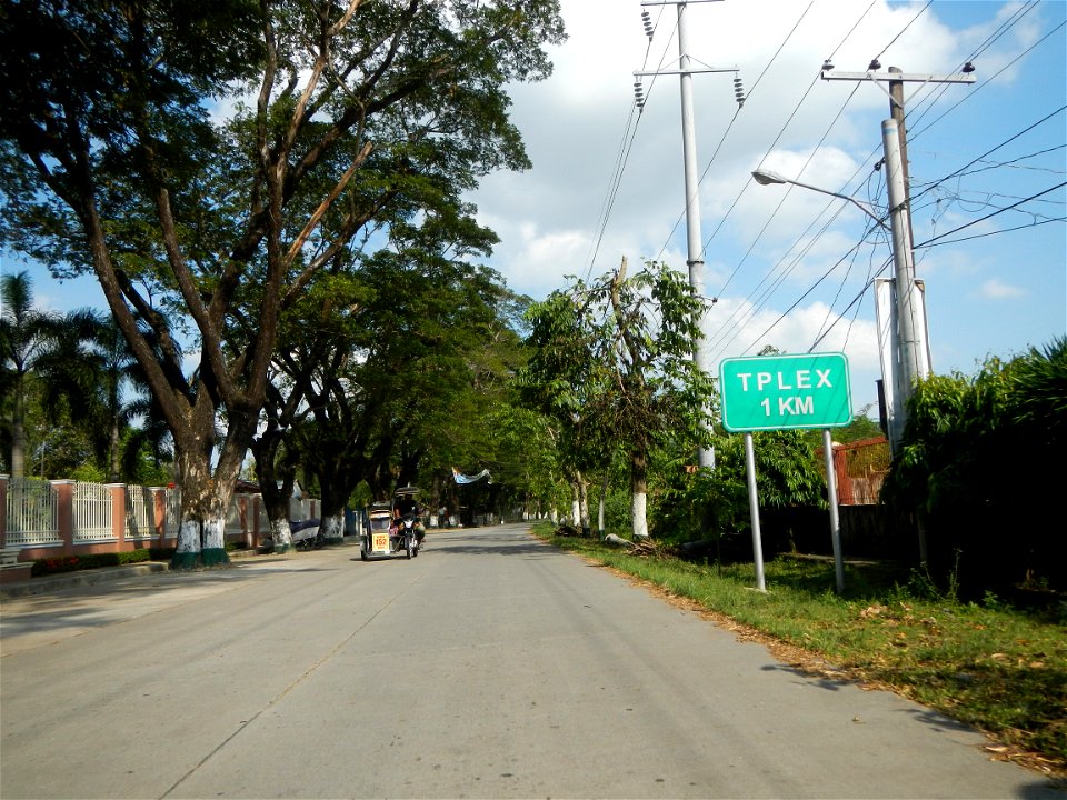 Cananga odorata ylang-ylang is Tagalog word ilang, meaning "wilderness", Capital of the Philippines, Anao, Tarlac, Cananga odorata decorating this Moncada-Anao, Tarlac Road (a world record so to speak