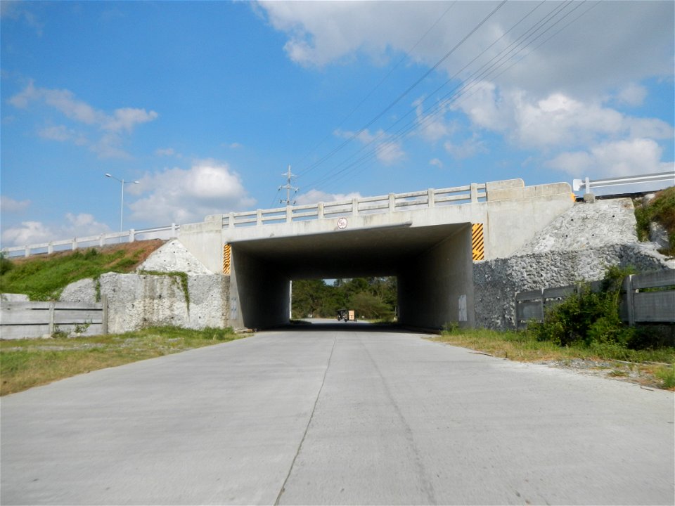 Cananga odorata ylang-ylang is Tagalog word ilang, meaning "wilderness", Capital of the Philippines, Anao, Tarlac, Cananga odorata decorating this Moncada-Anao, Tarlac Road (a world record so to speak