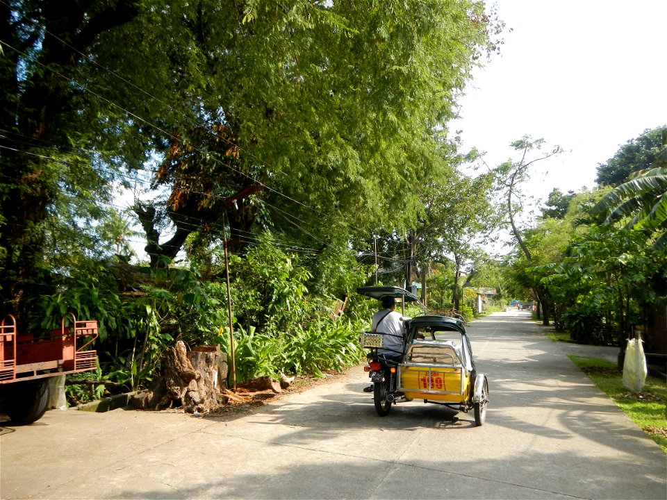 Anao, Tarlac Town Marker and Municipal Plaza, (in Barangay Poblacion, Anao, Tarlac, Tarlac Province, Cananga odorata ylang-ylang is Tagalog word ilang, meaning "wilderness", Capital of the Philippines