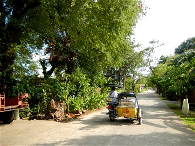 Anao, Tarlac Town Marker and Municipal Plaza, (in Barangay Poblacion, Anao, Tarlac, Tarlac Province, Cananga odorata ylang-ylang is Tagalog word ilang, meaning "wilderness", Capital of the Philippines