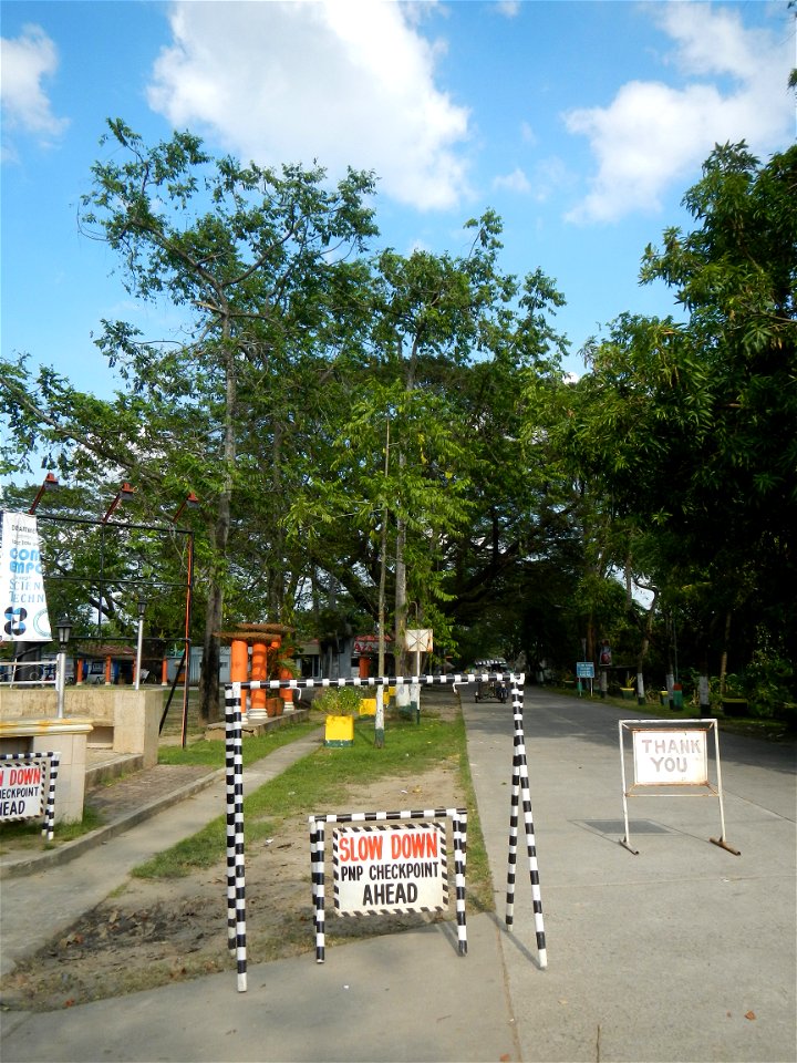 Anao, Tarlac Town Marker and Municipal Plaza, (in Barangay Poblacion, Anao, Tarlac, Tarlac Province, Cananga odorata ylang-ylang is Tagalog word ilang, meaning "wilderness", Capital of the Philippines
