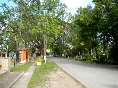 Anao, Tarlac Town Marker and Municipal Plaza, (in Barangay Poblacion, Anao, Tarlac, Tarlac Province, Cananga odorata ylang-ylang is Tagalog word ilang, meaning "wilderness", Capital of the Philippines