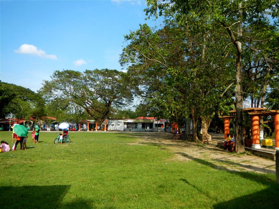 Anao, Tarlac Town Marker and Municipal Plaza, (in Barangay Poblacion, Anao, Tarlac, Tarlac Province, Cananga odorata ylang-ylang is Tagalog word ilang, meaning "wilderness", Capital of the Philippines