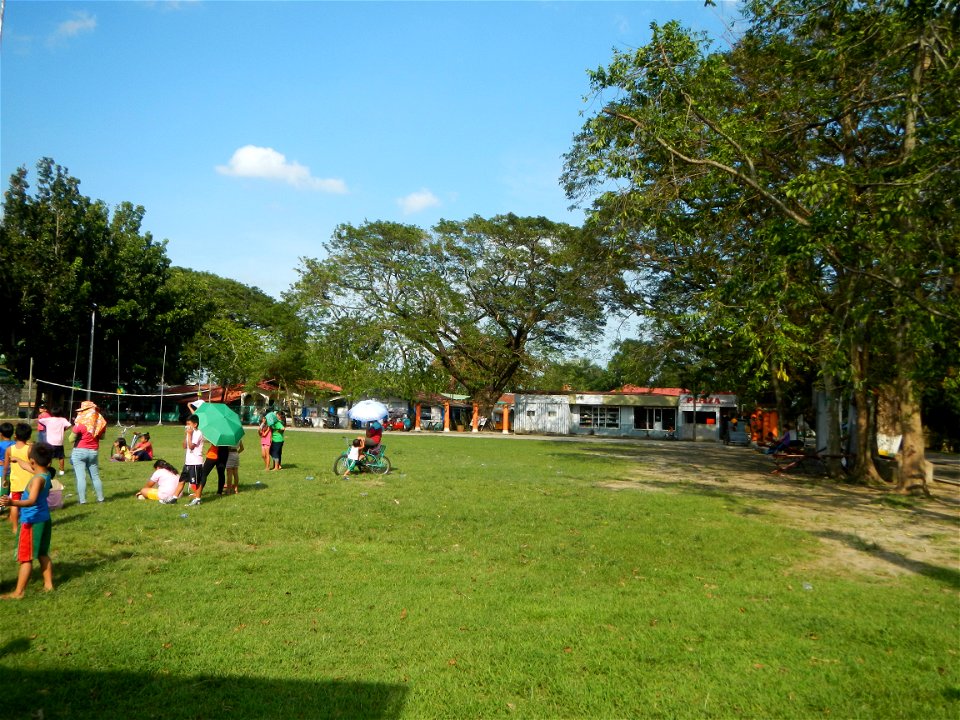 Anao, Tarlac Town Marker and Municipal Plaza, (in Barangay Poblacion, Anao, Tarlac, Tarlac Province, Cananga odorata ylang-ylang is Tagalog word ilang, meaning "wilderness", Capital of the Philippines