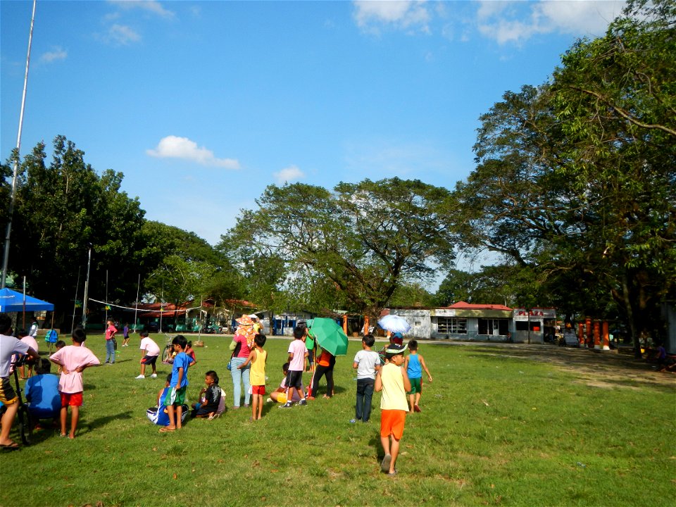 Anao, Tarlac Town Marker and Municipal Plaza, (in Barangay Poblacion, Anao, Tarlac, Tarlac Province, Cananga odorata ylang-ylang is Tagalog word ilang, meaning "wilderness", Capital of the Philippines