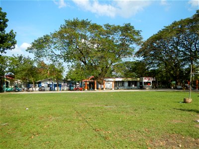 Anao, Tarlac Town Marker and Municipal Plaza, (in Barangay Poblacion, Anao, Tarlac, Tarlac Province, Cananga odorata ylang-ylang is Tagalog word ilang, meaning "wilderness", Capital of the Philippines