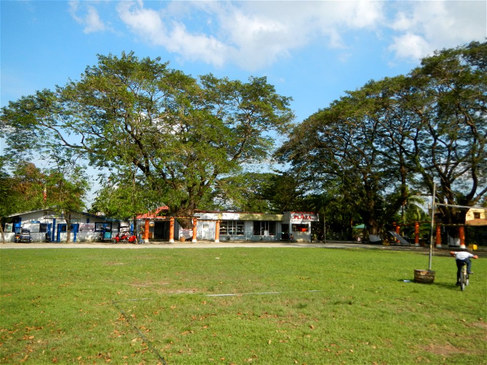 Anao, Tarlac Town Marker and Municipal Plaza, (in Barangay Poblacion, Anao, Tarlac, Tarlac Province, Cananga odorata ylang-ylang is Tagalog word ilang, meaning "wilderness", Capital of the Philippines