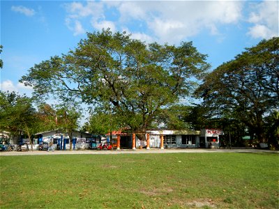 Anao, Tarlac Town Marker and Municipal Plaza, (in Barangay Poblacion, Anao, Tarlac, Tarlac Province, Cananga odorata ylang-ylang is Tagalog word ilang, meaning "wilderness", Capital of the Philippines