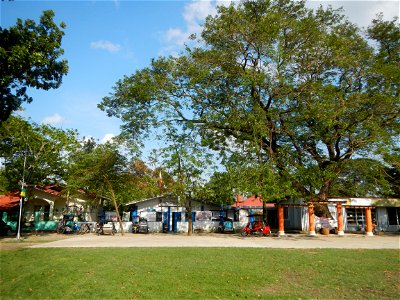 Anao, Tarlac Town Marker and Municipal Plaza, (in Barangay Poblacion, Anao, Tarlac, Tarlac Province, Cananga odorata ylang-ylang is Tagalog word ilang, meaning "wilderness", Capital of the Philippines