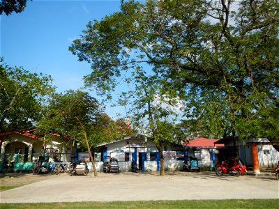 Anao, Tarlac Town Marker and Municipal Plaza, (in Barangay Poblacion, Anao, Tarlac, Tarlac Province, Cananga odorata ylang-ylang is Tagalog word ilang, meaning "wilderness", Capital of the Philippines