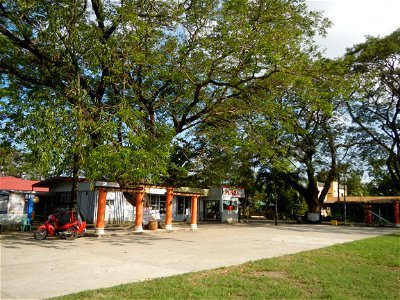 Anao, Tarlac Town Marker and Municipal Plaza, (in Barangay Poblacion, Anao, Tarlac, Tarlac Province, Cananga odorata ylang-ylang is Tagalog word ilang, meaning "wilderness", Capital of the Philippines