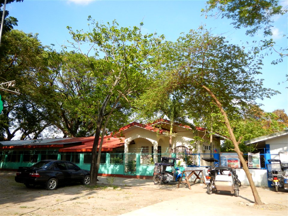 Anao, Tarlac Town Marker and Municipal Plaza, (in Barangay Poblacion, Anao, Tarlac, Tarlac Province, Cananga odorata ylang-ylang is Tagalog word ilang, meaning "wilderness", Capital of the Philippines