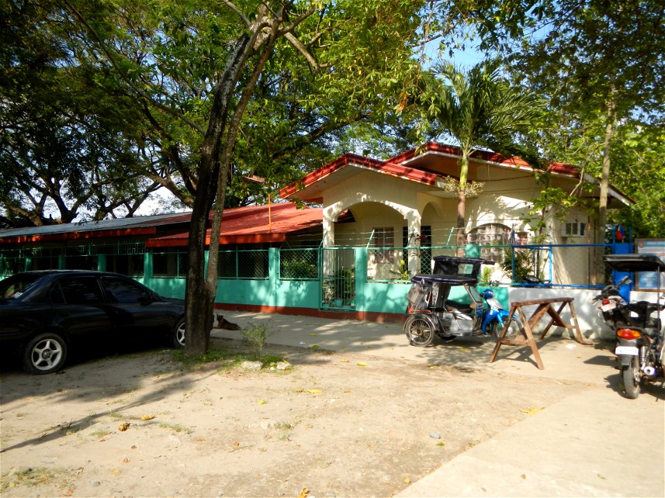 Anao, Tarlac Town Marker and Municipal Plaza, (in Barangay Poblacion, Anao, Tarlac, Tarlac Province, Cananga odorata ylang-ylang is Tagalog word ilang, meaning "wilderness", Capital of the Philippines