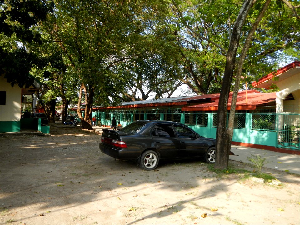 Anao, Tarlac Town Marker and Municipal Plaza, (in Barangay Poblacion, Anao, Tarlac, Tarlac Province, Cananga odorata ylang-ylang is Tagalog word ilang, meaning "wilderness", Capital of the Philippines