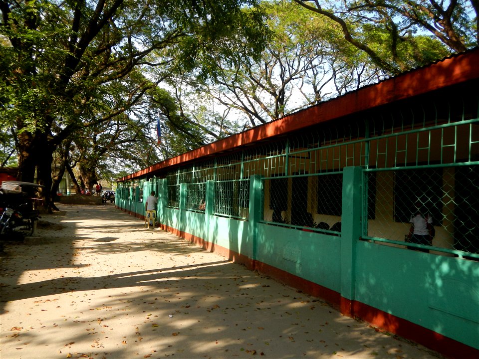 Anao, Tarlac Town Marker and Municipal Plaza, (in Barangay Poblacion, Anao, Tarlac, Tarlac Province, Cananga odorata ylang-ylang is Tagalog word ilang, meaning "wilderness", Capital of the Philippines
