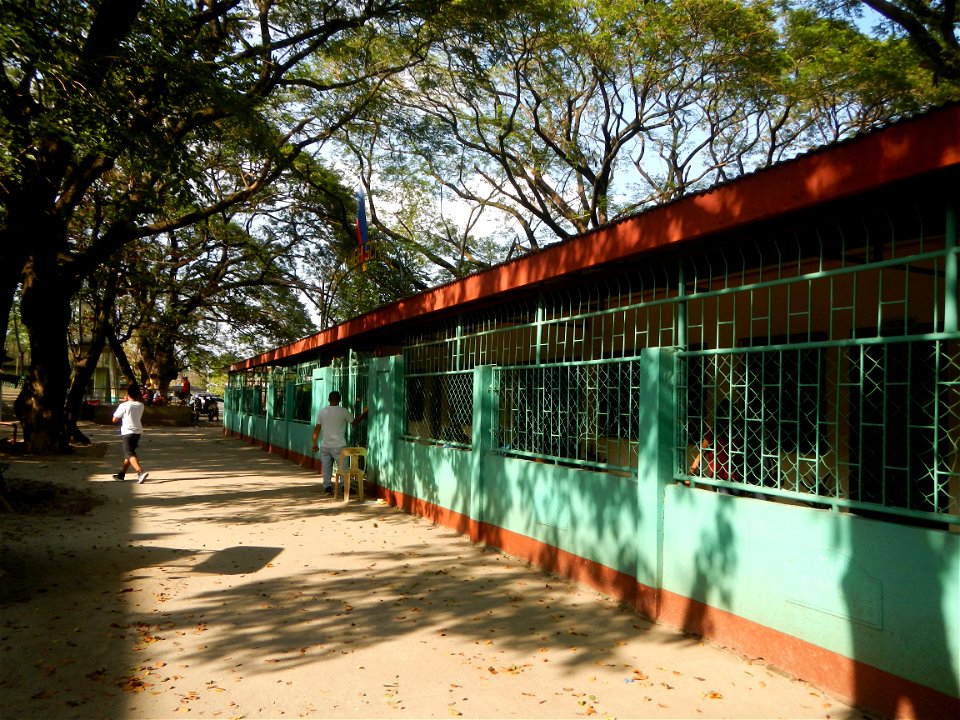 Anao, Tarlac Town Marker and Municipal Plaza, (in Barangay Poblacion, Anao, Tarlac, Tarlac Province, Cananga odorata ylang-ylang is Tagalog word ilang, meaning "wilderness", Capital of the Philippines