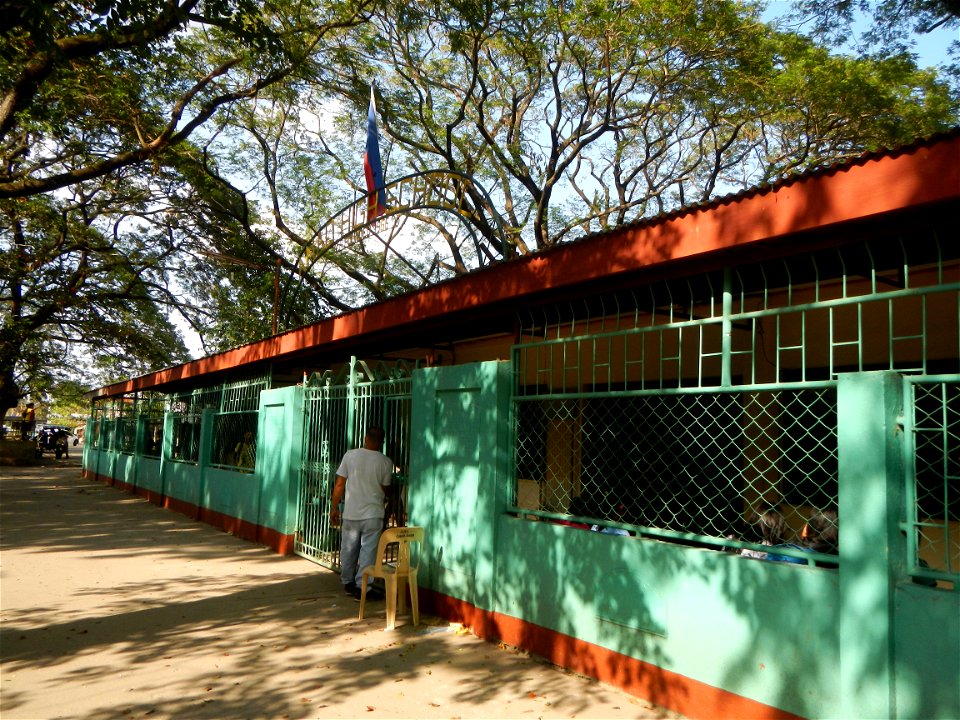 Anao, Tarlac Town Marker and Municipal Plaza, (in Barangay Poblacion, Anao, Tarlac, Tarlac Province, Cananga odorata ylang-ylang is Tagalog word ilang, meaning "wilderness", Capital of the Philippines