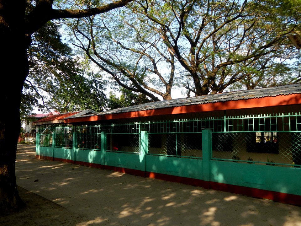 Anao, Tarlac Town Marker and Municipal Plaza, (in Barangay Poblacion, Anao, Tarlac, Tarlac Province, Cananga odorata ylang-ylang is Tagalog word ilang, meaning "wilderness", Capital of the Philippines