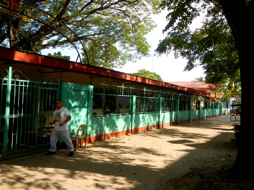 Anao, Tarlac Town Marker and Municipal Plaza, (in Barangay Poblacion, Anao, Tarlac, Tarlac Province, Cananga odorata ylang-ylang is Tagalog word ilang, meaning "wilderness", Capital of the Philippines