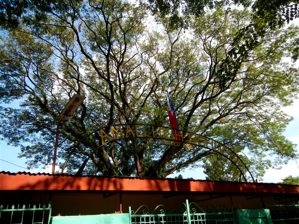 Anao, Tarlac Town Marker and Municipal Plaza, (in Barangay Poblacion, Anao, Tarlac, Tarlac Province, Cananga odorata ylang-ylang is Tagalog word ilang, meaning "wilderness", Capital of the Philippines