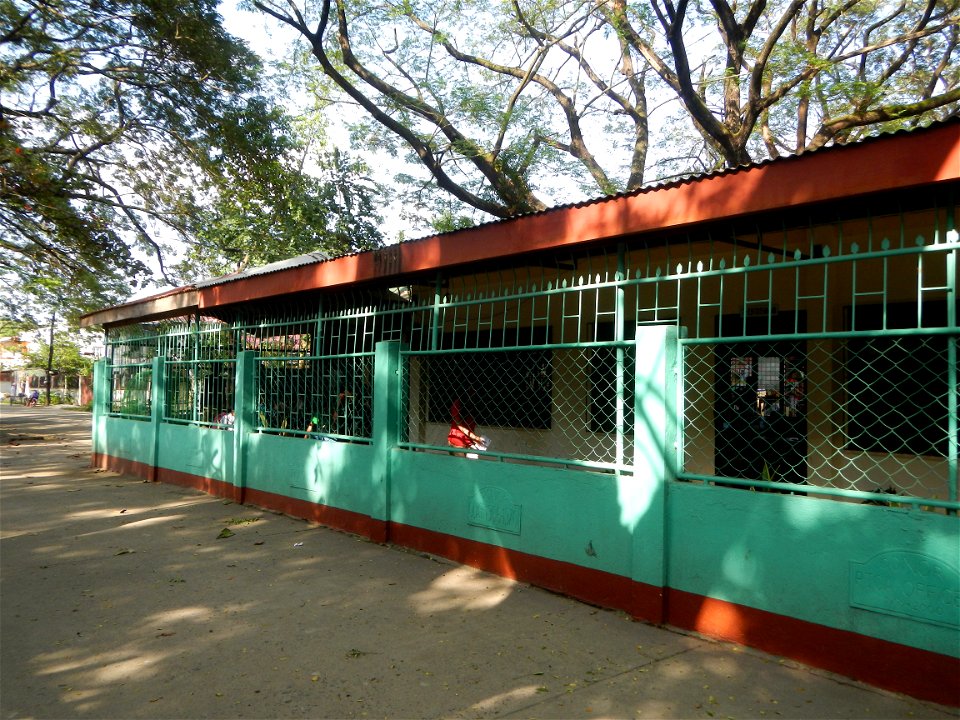 Anao, Tarlac Town Marker and Municipal Plaza, (in Barangay Poblacion, Anao, Tarlac, Tarlac Province, Cananga odorata ylang-ylang is Tagalog word ilang, meaning "wilderness", Capital of the Philippines