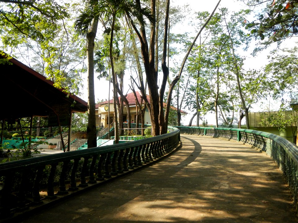Anao, Tarlac Town Marker and Municipal Plaza, (in Barangay Poblacion, Anao, Tarlac, Tarlac Province, Cananga odorata ylang-ylang is Tagalog word ilang, meaning "wilderness", Capital of the Philippines
