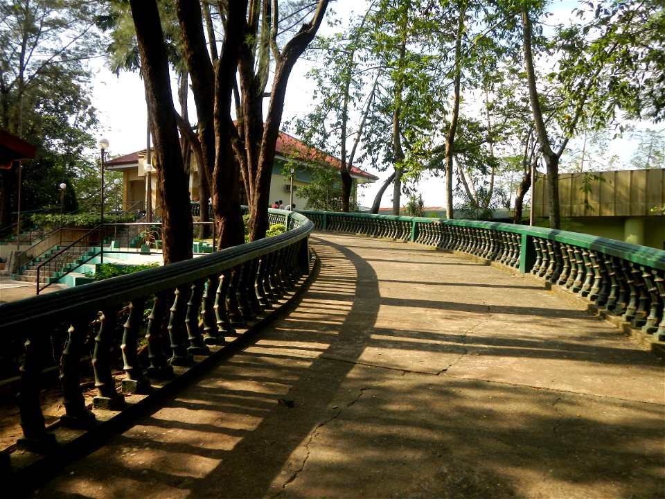 Anao, Tarlac Town Marker and Municipal Plaza, (in Barangay Poblacion, Anao, Tarlac, Tarlac Province, Cananga odorata ylang-ylang is Tagalog word ilang, meaning "wilderness", Capital of the Philippines