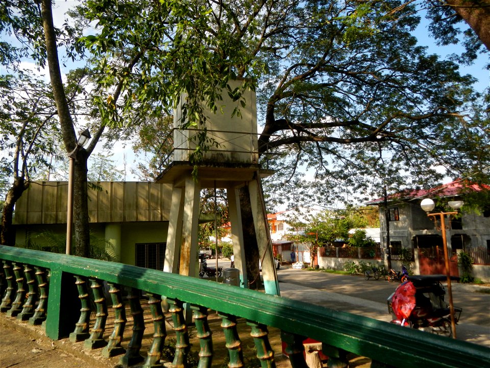 Anao, Tarlac Town Marker and Municipal Plaza, (in Barangay Poblacion, Anao, Tarlac, Tarlac Province, Cananga odorata ylang-ylang is Tagalog word ilang, meaning "wilderness", Capital of the Philippines