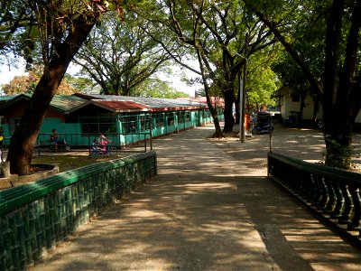 Anao, Tarlac Town Marker and Municipal Plaza, (in Barangay Poblacion, Anao, Tarlac, Tarlac Province, Cananga odorata ylang-ylang is Tagalog word ilang, meaning "wilderness", Capital of the Philippines