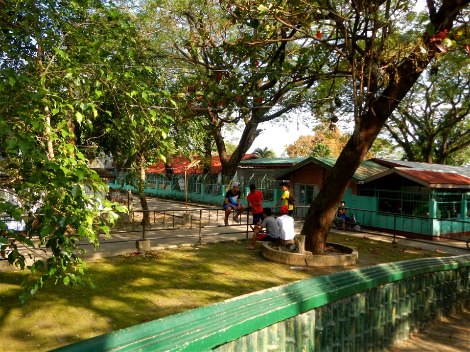 Anao, Tarlac Town Marker and Municipal Plaza, (in Barangay Poblacion, Anao, Tarlac, Tarlac Province, Cananga odorata ylang-ylang is Tagalog word ilang, meaning "wilderness", Capital of the Philippines