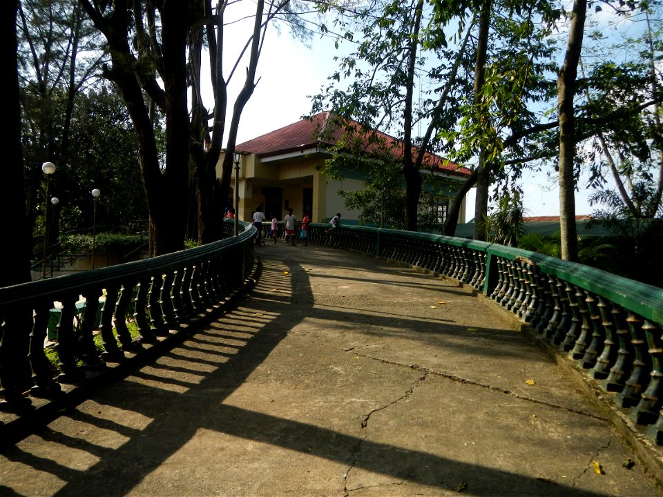 Anao, Tarlac Municipal Hall and Anao, Tarlac Town Marker and Municipal Plaza, (in Barangay Poblacion, Anao, Tarlac, Tarlac Province, Cananga odorata ylang-ylang is Tagalog word ilang, meaning "wildern