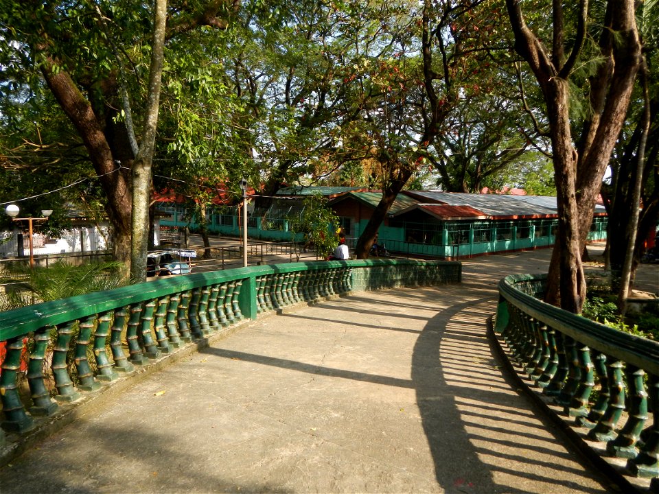 Anao, Tarlac Municipal Hall and Anao, Tarlac Town Marker and Municipal Plaza, (in Barangay Poblacion, Anao, Tarlac, Tarlac Province, Cananga odorata ylang-ylang is Tagalog word ilang, meaning "wildern