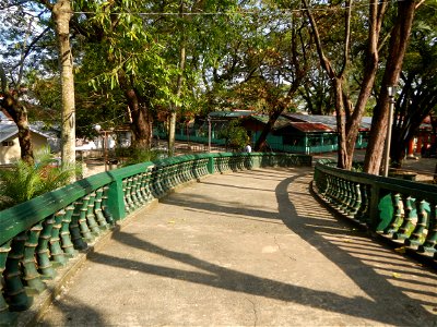Anao, Tarlac Municipal Hall and Anao, Tarlac Town Marker and Municipal Plaza, (in Barangay Poblacion, Anao, Tarlac, Tarlac Province, Cananga odorata ylang-ylang is Tagalog word ilang, meaning "wildern