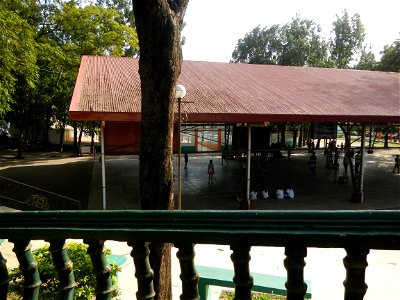 Anao, Tarlac Municipal Hall and Anao, Tarlac Town Marker and Municipal Plaza, (in Barangay Poblacion, Anao, Tarlac, Tarlac Province, Cananga odorata ylang-ylang is Tagalog word ilang, meaning "wildern