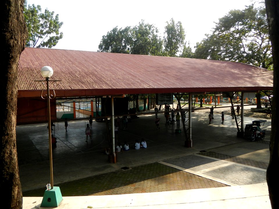Anao, Tarlac Municipal Hall and Anao, Tarlac Town Marker and Municipal Plaza, (in Barangay Poblacion, Anao, Tarlac, Tarlac Province, Cananga odorata ylang-ylang is Tagalog word ilang, meaning "wildern