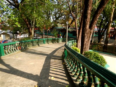 Anao, Tarlac Municipal Hall and Anao, Tarlac Town Marker and Municipal Plaza, (in Barangay Poblacion, Anao, Tarlac, Tarlac Province, Cananga odorata ylang-ylang is Tagalog word ilang, meaning "wildern