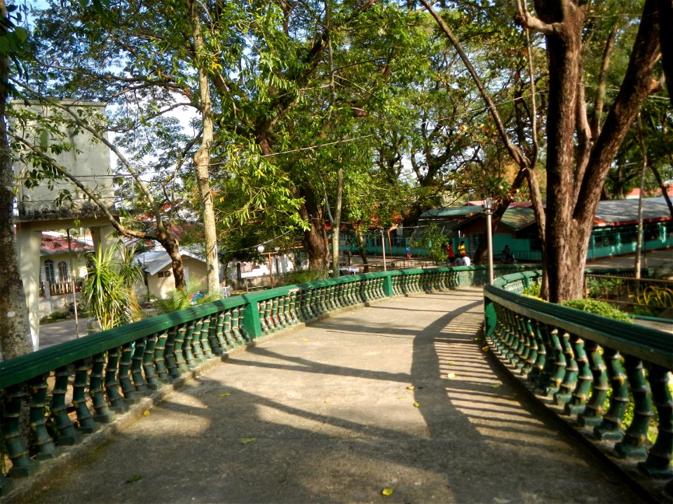 Anao, Tarlac Municipal Hall and Anao, Tarlac Town Marker and Municipal Plaza, (in Barangay Poblacion, Anao, Tarlac, Tarlac Province, Cananga odorata ylang-ylang is Tagalog word ilang, meaning "wildern