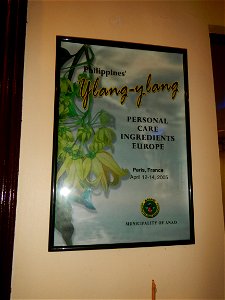 Anao, Tarlac Municipal Hall and Anao, Tarlac Town Marker and Municipal Plaza, (in Barangay Poblacion, Anao, Tarlac, Tarlac Province, Cananga odorata ylang-ylang is Tagalog word ilang, meaning "wildern