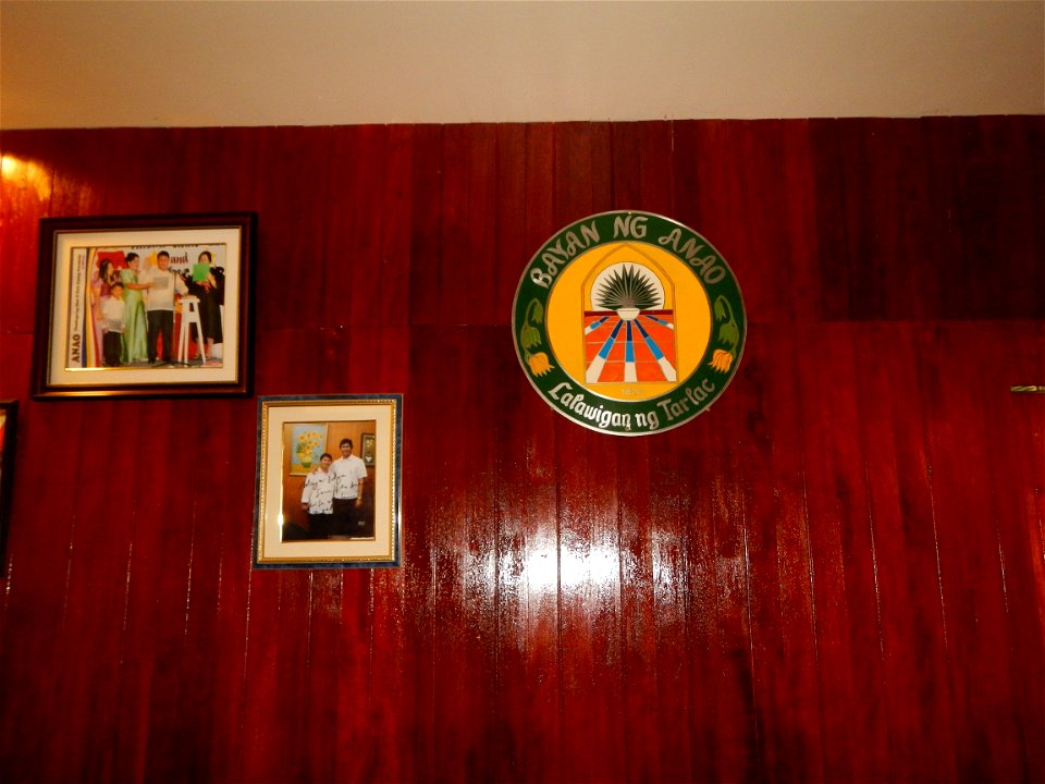 Anao, Tarlac Municipal Hall and Anao, Tarlac Town Marker and Municipal Plaza, (in Barangay Poblacion, Anao, Tarlac, Tarlac Province, Cananga odorata ylang-ylang is Tagalog word ilang, meaning "wildern