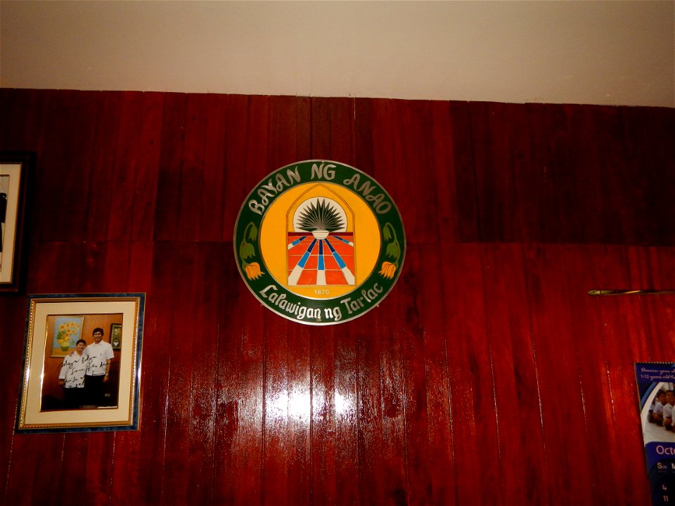 Anao, Tarlac Municipal Hall and Anao, Tarlac Town Marker and Municipal Plaza, (in Barangay Poblacion, Anao, Tarlac, Tarlac Province, Cananga odorata ylang-ylang is Tagalog word ilang, meaning "wildern