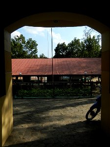 Anao, Tarlac Municipal Hall and Anao, Tarlac Town Marker and Municipal Plaza, (in Barangay Poblacion, Anao, Tarlac, Tarlac Province, Cananga odorata ylang-ylang is Tagalog word ilang, meaning "wildern