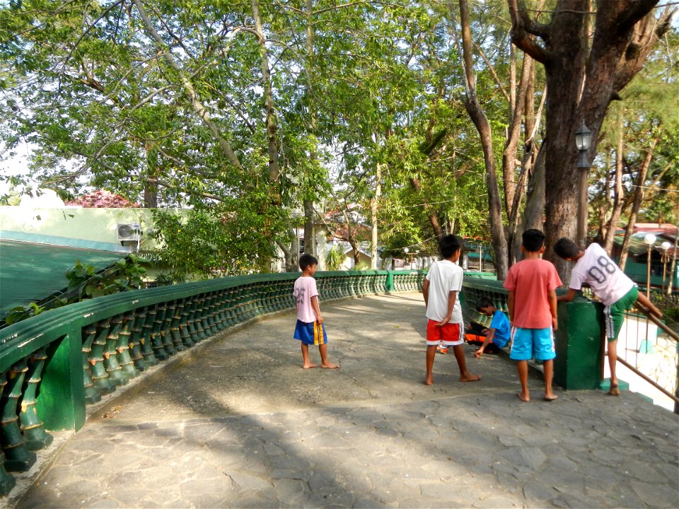 Anao, Tarlac Municipal Hall and Anao, Tarlac Town Marker and Municipal Plaza, (in Barangay Poblacion, Anao, Tarlac, Tarlac Province, Cananga odorata ylang-ylang is Tagalog word ilang, meaning "wildern