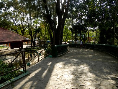 Anao, Tarlac Municipal Hall and Anao, Tarlac Town Marker and Municipal Plaza, (in Barangay Poblacion, Anao, Tarlac, Tarlac Province, Cananga odorata ylang-ylang is Tagalog word ilang, meaning "wildern