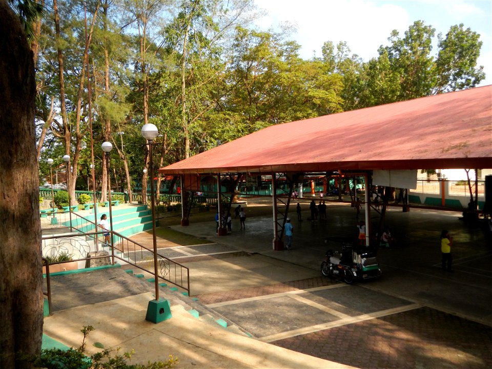 Anao, Tarlac Municipal Hall and Anao, Tarlac Town Marker and Municipal Plaza, (in Barangay Poblacion, Anao, Tarlac, Tarlac Province, Cananga odorata ylang-ylang is Tagalog word ilang, meaning "wildern