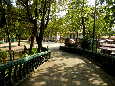 Anao, Tarlac Municipal Hall and Anao, Tarlac Town Marker and Municipal Plaza, (in Barangay Poblacion, Anao, Tarlac, Tarlac Province, Cananga odorata ylang-ylang is Tagalog word ilang, meaning "wildern