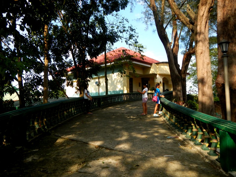 Anao, Tarlac Municipal Hall and Anao, Tarlac Town Marker and Municipal Plaza, (in Barangay Poblacion, Anao, Tarlac, Tarlac Province, Cananga odorata ylang-ylang is Tagalog word ilang, meaning "wildern