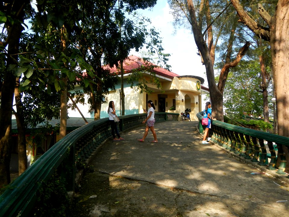 Anao, Tarlac Municipal Hall and Anao, Tarlac Town Marker and Municipal Plaza, (in Barangay Poblacion, Anao, Tarlac, Tarlac Province, Cananga odorata ylang-ylang is Tagalog word ilang, meaning "wildern